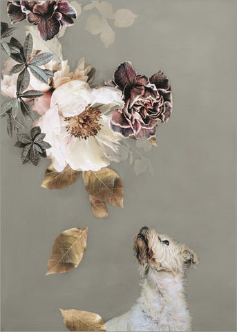 Pet Couture 2 | PLAKAT Plakat MF