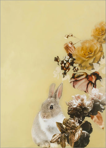 Pet Couture 4 | PLAKAT Plakat MF