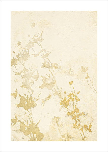 Pure Nature 1 | PLAKAT Plakat MF