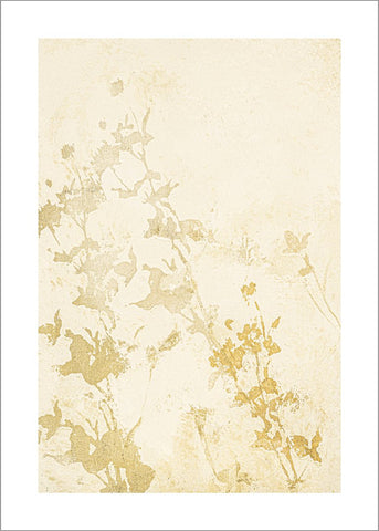 Pure Nature 1 | PLAKAT Plakat MF