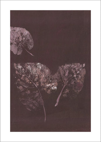 Pure Nature 5 | PLAKAT Plakat MF