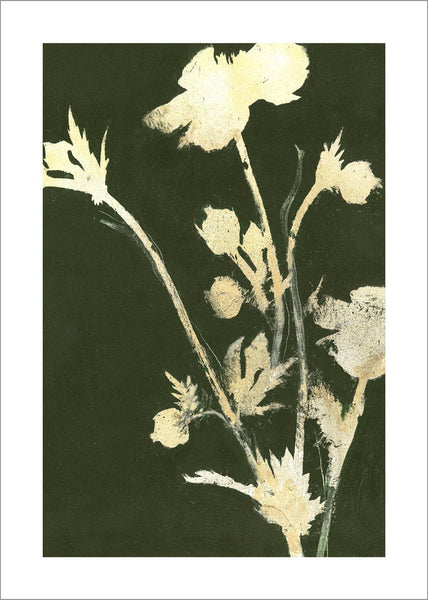 Pure Nature 6 | PLAKAT Plakat MF