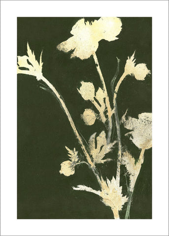 Pure Nature 6 | PLAKAT Plakat MF