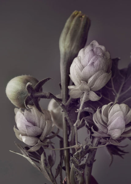 Secret 13 | PLAKAT Plakat MF