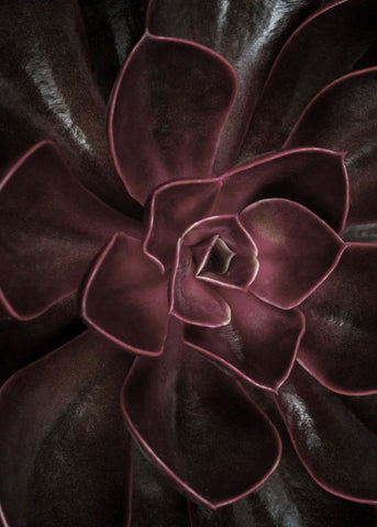 Secret 16 | PLAKAT Plakat MF