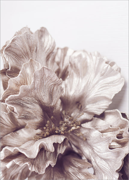 Sigma 1 | PLAKAT | POSTER Plakat MF