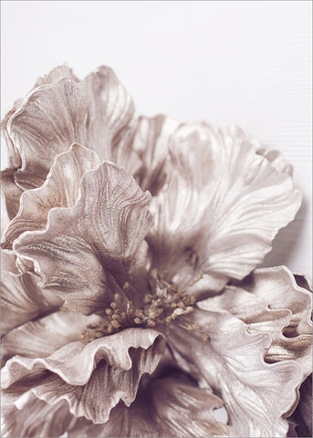 Sigma 1 | PLAKAT | POSTER Plakat MF