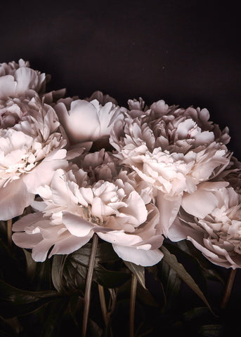 Sigma 2 | PLAKAT Plakat MF