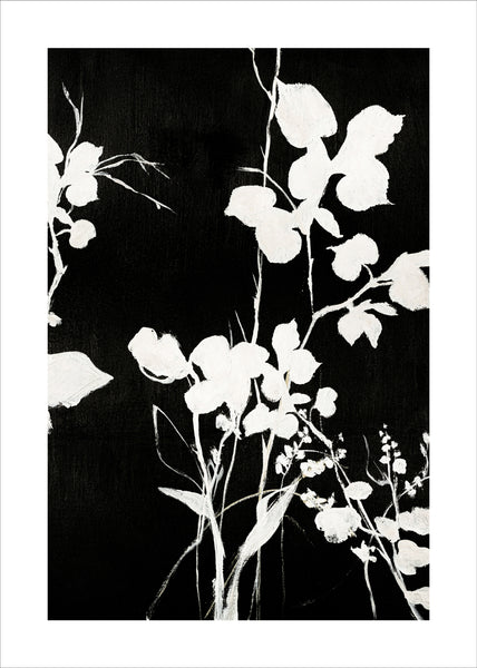Silhouet Leaves 1 | PLAKAT Plakat MF