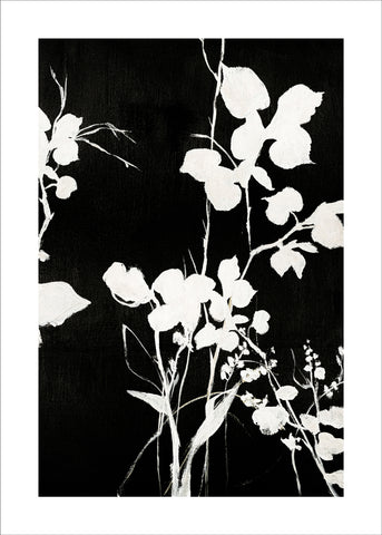 Silhouet Leaves 1 | PLAKAT Plakat MF
