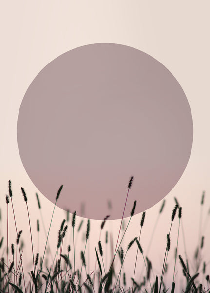 Sundown 1 | PLAKAT Plakat MF