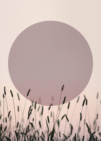 Sundown 1 | PLAKAT Plakat MF