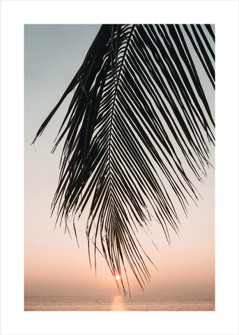 Sunset Leaves | PLAKAT Plakat MF
