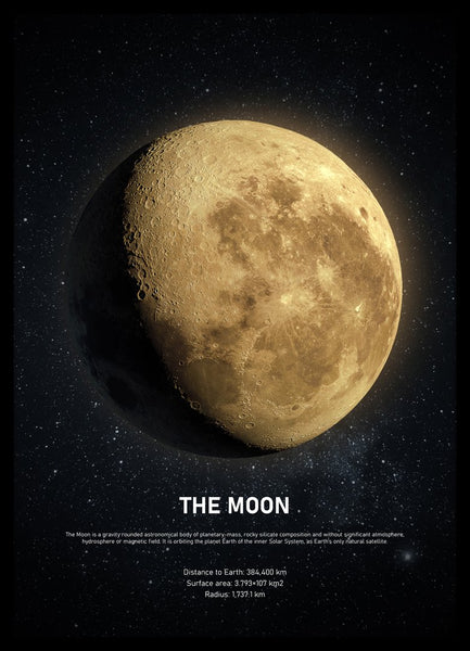 The Moon | PLAKAT Plakat MF