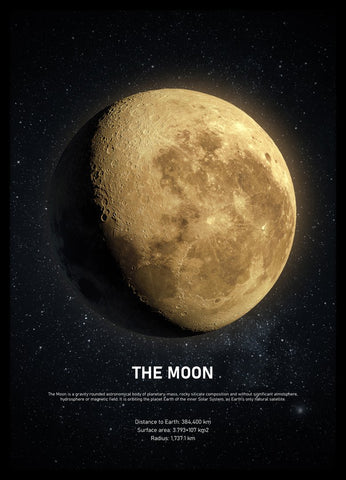 The Moon | PLAKAT Plakat MF