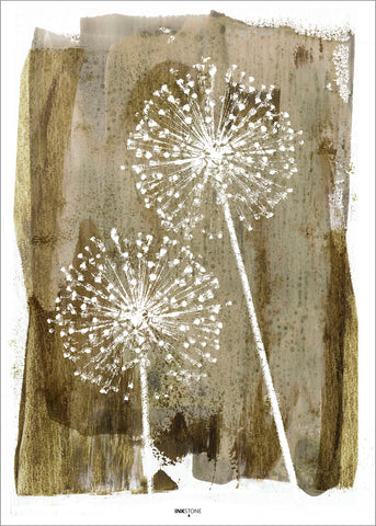 White Dandelion | PLAKAT Plakat MF