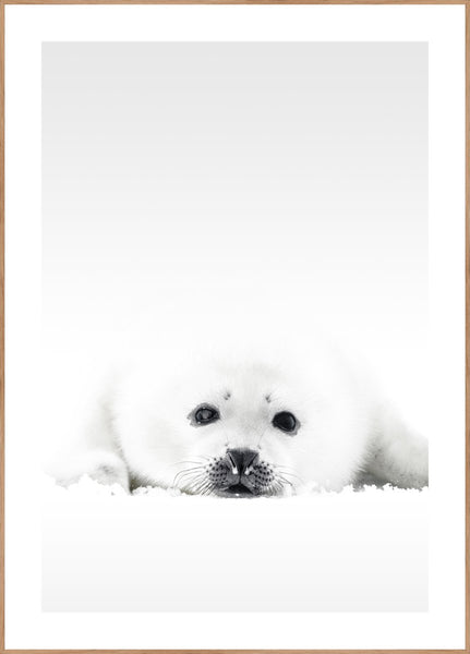 White Seal | INDRAMMET BILLEDE Indrammet billede MF 30x40 Egeramme