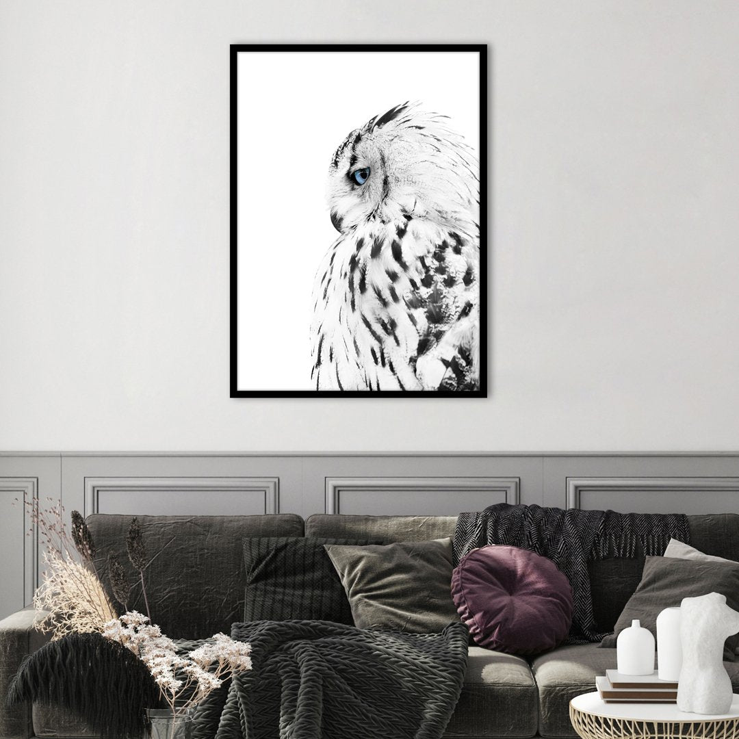 White owl | PLAKAT Plakat MF
