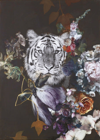 Wild Couture 1 | PLAKAT Plakat MF