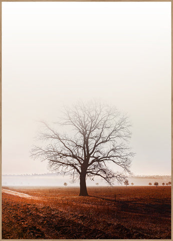 Graceland | INDRAMMET BILLEDE Indrammet billede MF 30x40 Egeramme