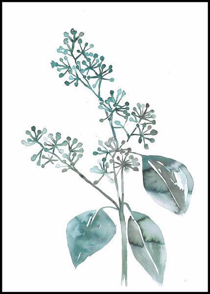Water plants 4 | INDRAMMET BILLEDE Indrammet billede MF