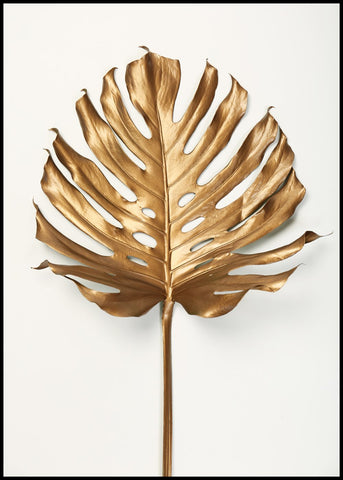 Monstrea Gold Leaf | INDRAMMET BILLEDE Indrammet billede MF 30x40 Sort