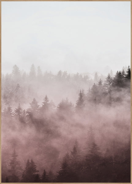 Foggy red | INDRAMMET BILLEDE Indrammet billede MF