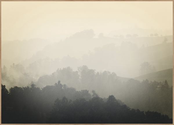 Foggy yellow | INDRAMMET BILLEDE Indrammet billede MF