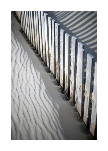 Sandy fence | PLAKAT Plakat MF