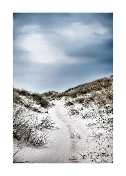 The path | PLAKAT Plakat MF