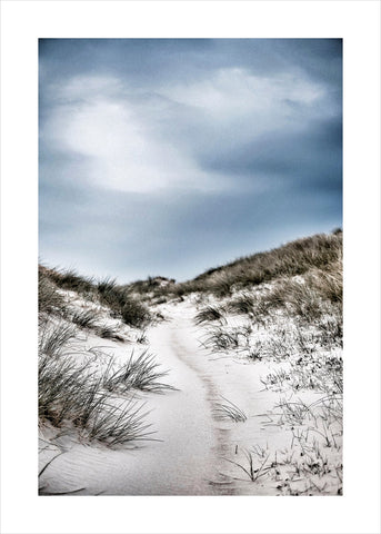 The path | PLAKAT Plakat MF