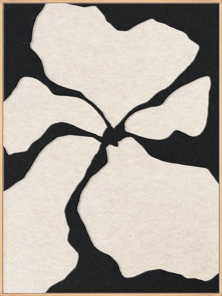 Clarity 2 | ACOUSTIC ART