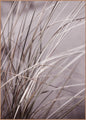Spec. Mellow grasses 1