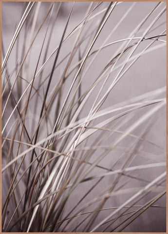 Spec. Mellow grasses 1 ART COPENHAGEN (DA)