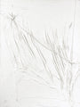 WHITE STRING | UNIKA MALERI