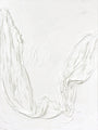 WHITE WASH | UNIKA MALERI