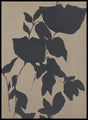 Fortuna Black | DESIGN MALERI