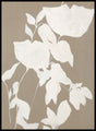 Fortuna White | DESIGN MALERI