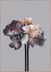 Virtue 1 | INDRAMMET BILLEDE Indrammet billede MF 30x40 Egeramme