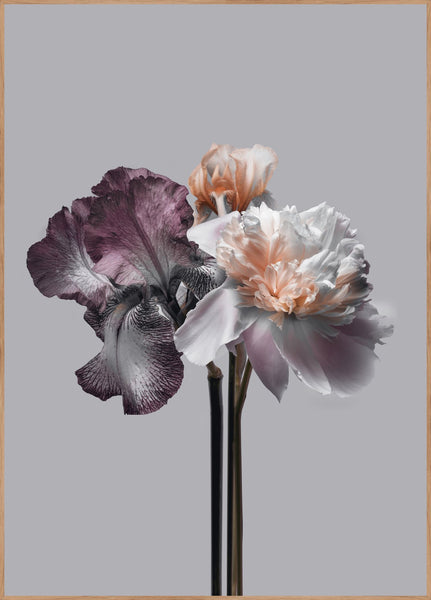 Virtue 1 | INDRAMMET BILLEDE Indrammet billede MF 30x40 Egeramme