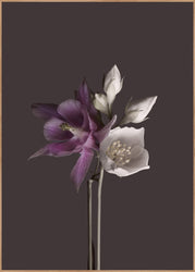 Virtue 2 | INDRAMMET BILLEDE Indrammet billede MF 30x40 Egeramme