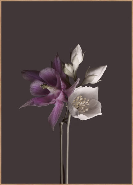 Virtue 2 | INDRAMMET BILLEDE Indrammet billede MF 30x40 Egeramme