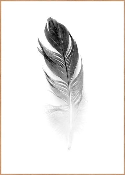 Soft Feather | INDRAMMET BILLEDE Indrammet billede MF 30x40 Egeramme