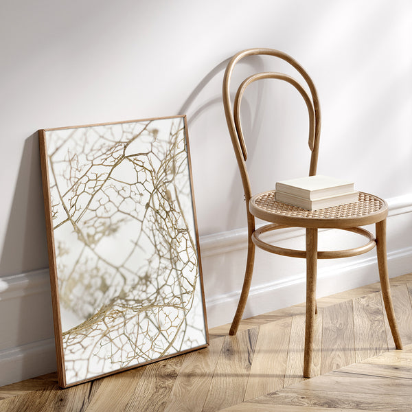 Leaf skeleton | INDRAMMET BILLEDE Indrammet billede MF