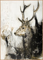 Wild Life 1 | INDRAMMET BILLEDE