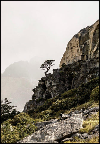 Highland | INDRAMMET BILLEDE Indrammet billede MF