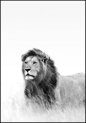 Hunter | INDRAMMET BILLEDE Indrammet billede MF