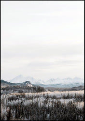 Woodland | INDRAMMET BILLEDE Indrammet billede MF