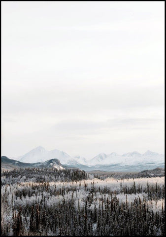 Woodland | INDRAMMET BILLEDE Indrammet billede MF