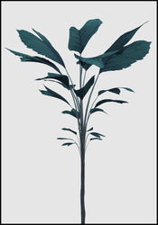 Turquoise Render | INDRAMMET BILLEDE Indrammet billede MF